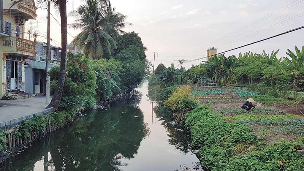 nước ô nhiễm tại hải phóng