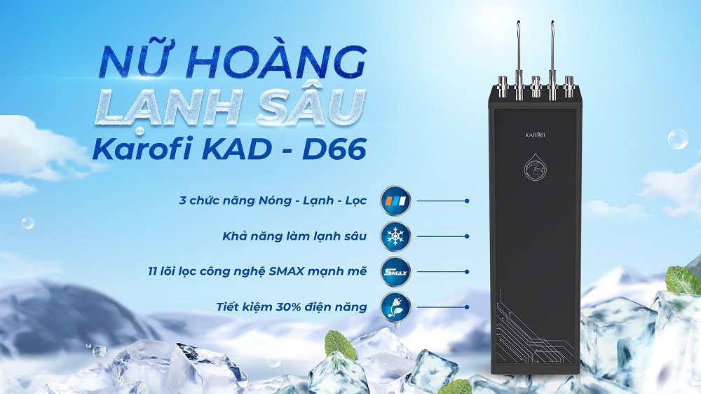 Máy lọc nước D66