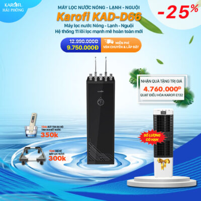 Karofi D66