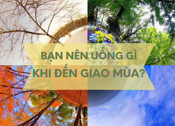 Bạn nên uống gì khi giao mùa