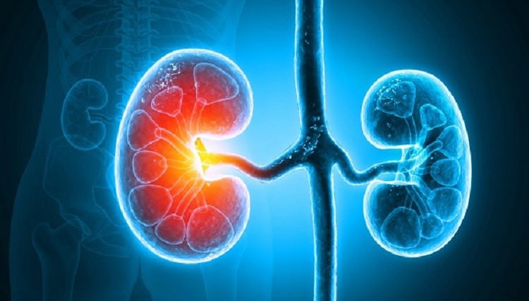 anh-huong-mat-nuoc-nguoi-cao-tuoi-01