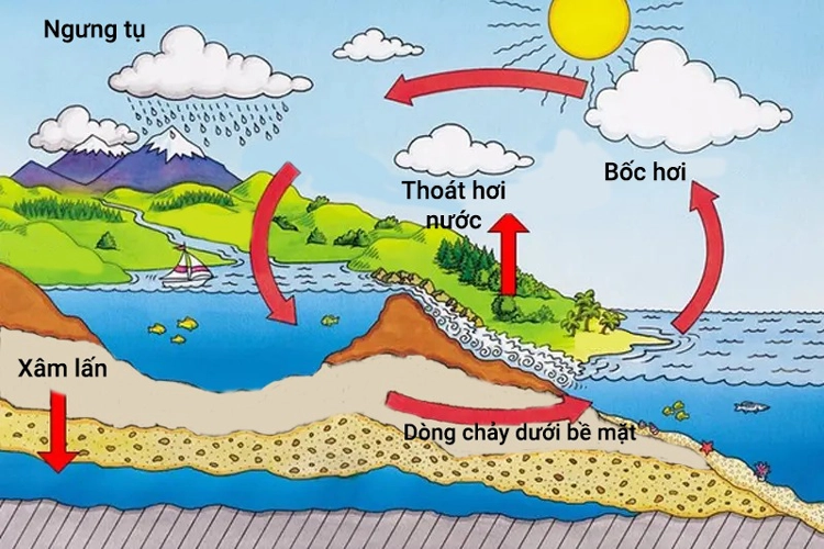 krf-vong-tuan-hoan-cua-nuoc.png