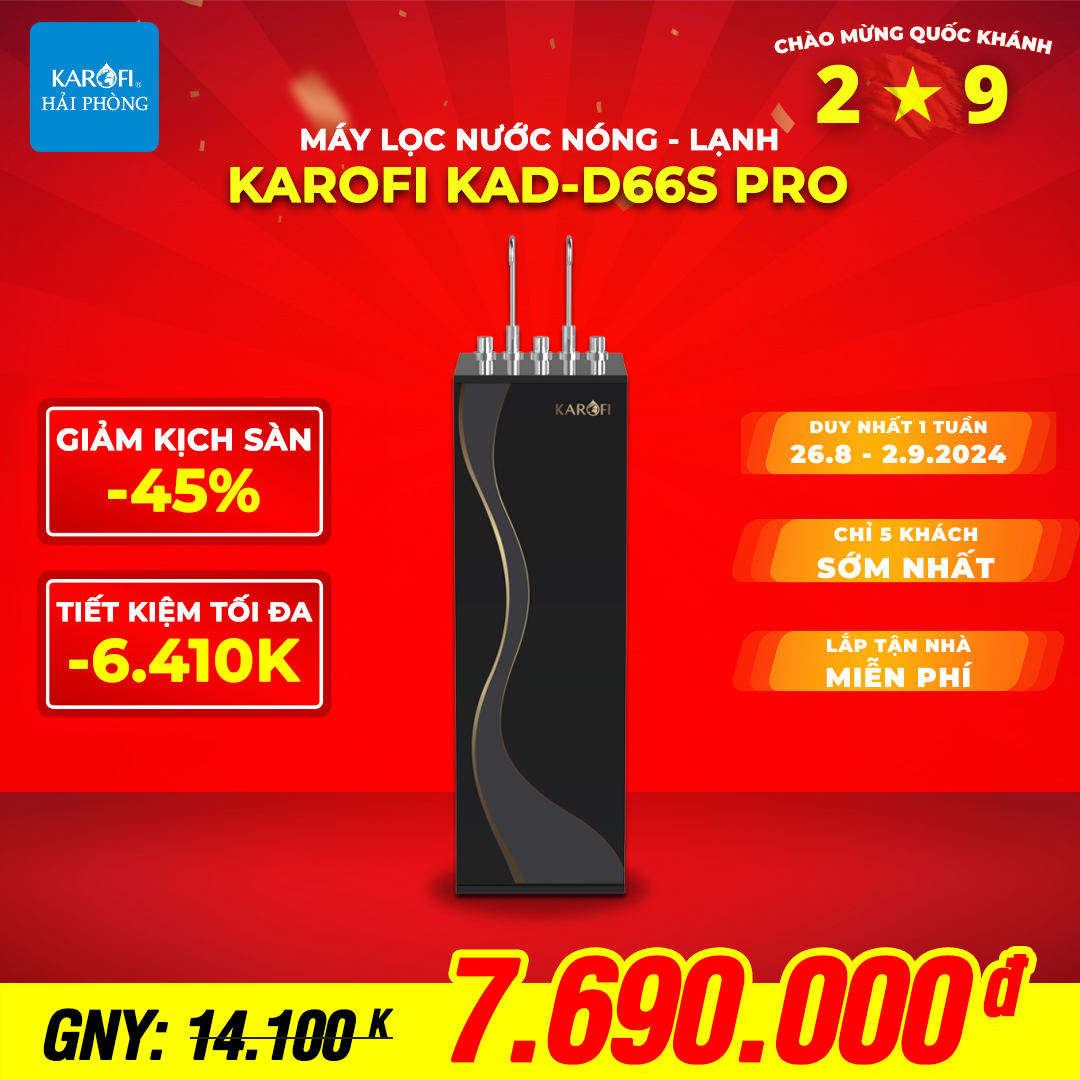 D66S-Pro