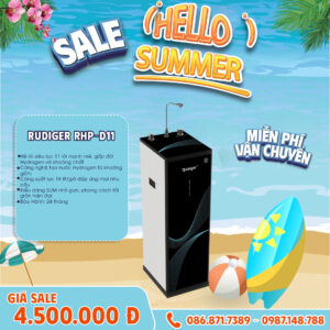 Máy lọc nước Rudiger RHP- D11